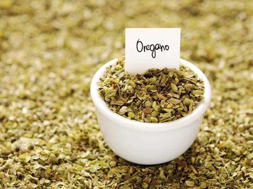 🌿 Orégano Egípcio Desidratado para Exportação – Qualidade Superior para Indústrias e Distribuidores