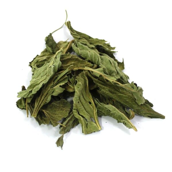 Egypt Dried Molokhia for Export in Bulk - Image 2