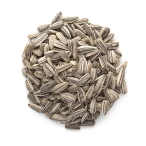 Sun flowers seeds